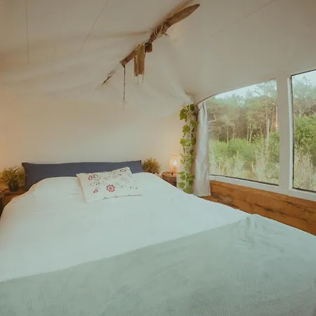 The Amazing Inacio Bus Converted Holiday home