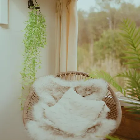 The Amazing Inacio Bus Converted Sintra