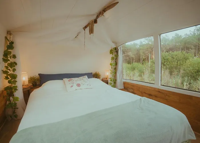 The Amazing Inacio Bus Converted Holiday home
